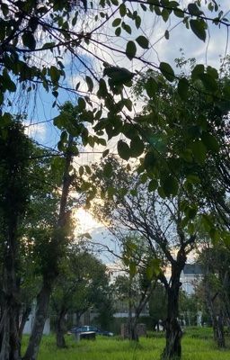 Trời Sao Anh Thấy