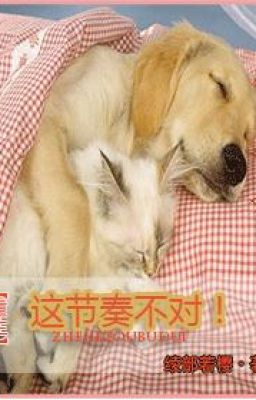 [Trọng sinh ] Này tiết tấu không đúng