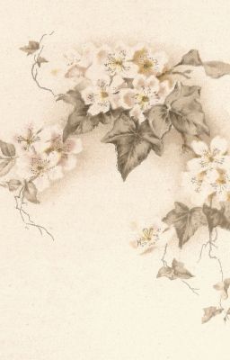 Trọng sinh thành cây - Sát Tiểu Hoàn