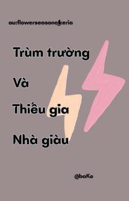 TRÙM TRƯỜNG VÀ THIẾU GIA NHÀ GIÀU