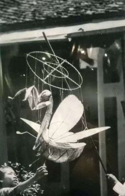 Trung Úy Quang - Quang!bot