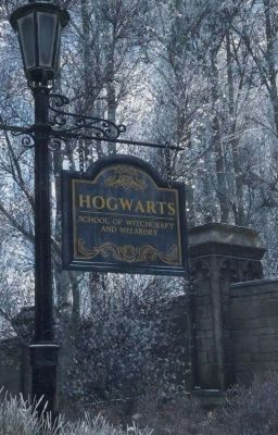 Trường Phù Thủy Và Pháp Sư Hogwarts (ĐN)(BHTT)