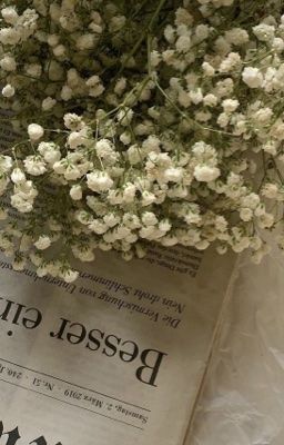 [TSN] Mảnh Ghép 