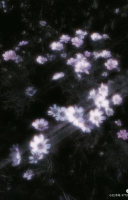 TÙY HỨNG[DROP]