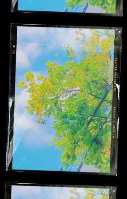 Tuyển tập truyện ngắn genshin impact 