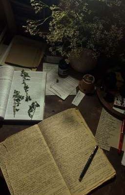 [Update Oc] Crystal Cla Gerkan