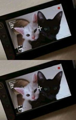 us