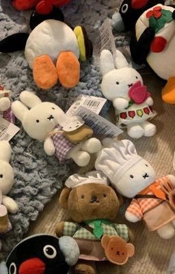 vhs | không đầu không đuôi