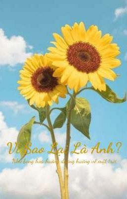 Vì Sao Lại Là Anh 