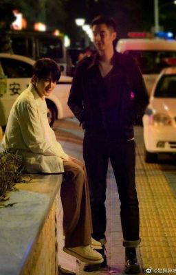  Việc đầu tiên cần làm sau khi tìm thấy một con mèo mất tích sau ba năm là... 