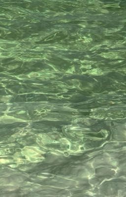 viên mãn trọn vẹn