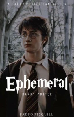 [Vietnamese Translation]- EPHEMERAL | Harry Potter X Reader