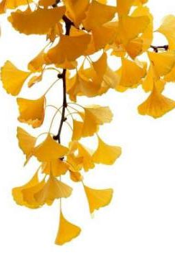 [VKook/KookV Ver] Người Yêu Cũ Đấm Người Yêu Mới