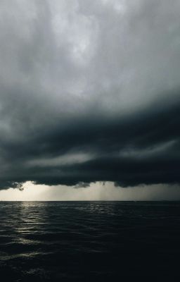 VNF | The Storm (Cơn Bão)