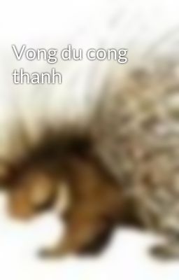 Vong du cong thanh