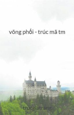 võng phối - trúc mã tm