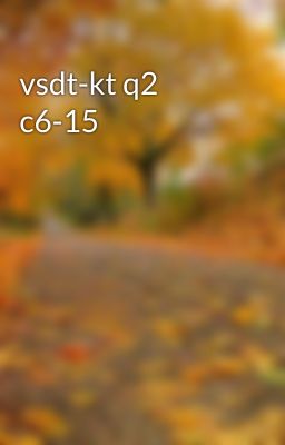 vsdt-kt q2 c6-15