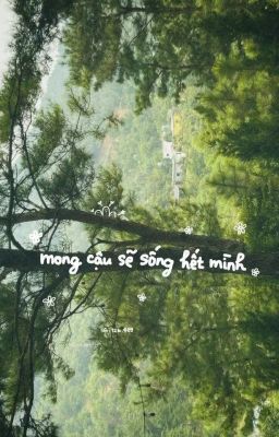 Vùng Xám