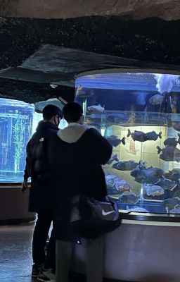 wangje | ánh dương ấm áp