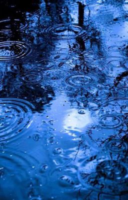 wangje | đường chân trời 