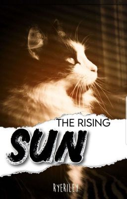 Warrior Cats: The Rising Sun (Book #2)