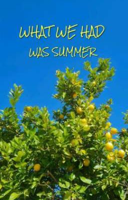 WHAT WE HAD WAS SUMMER 🍋 [DooGem]