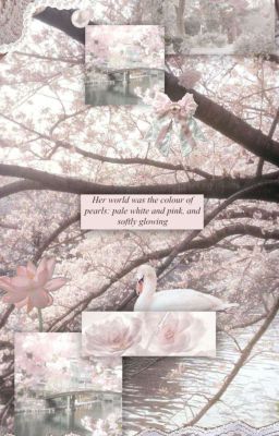 | whc | tokyo và seoul đều có em