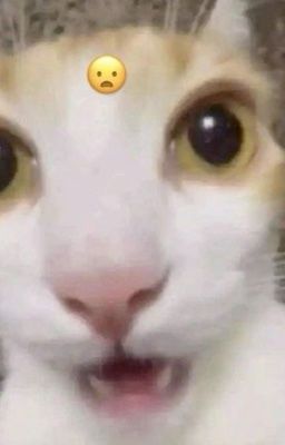 |whc| x |ohsh| đa vũ trụ hỗn loạn