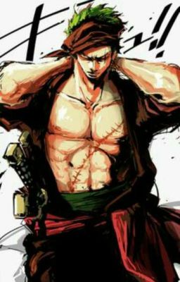 When Swords Collide  {Roronoa Zoro X Reader}