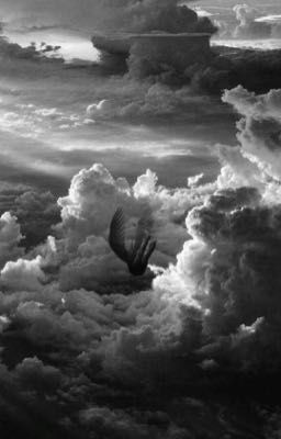 wings of ashes • sunghoon