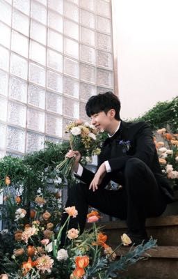 Wonsoon | Chữa lành