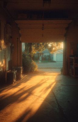 [woolong][ald1] nhật ký của kẻ học cách bắt đầu