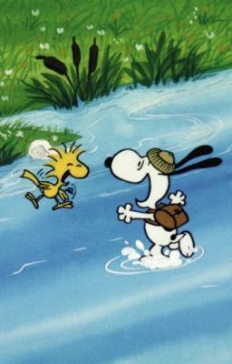 woosangz ; hai em cún