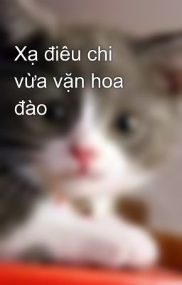 Xạ điêu chi vừa vặn hoa đào