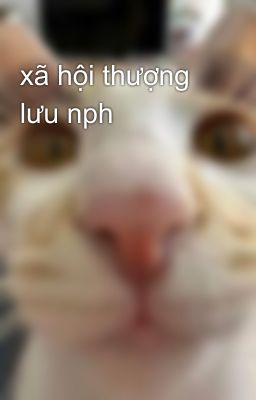 xã hội thượng lưu nph