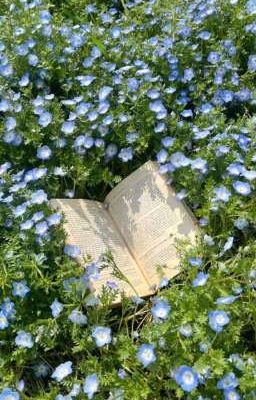 Xin Lỗi, Tớ Từng Thích Bạn