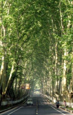 xóm nhỏ bên sườn đồi 