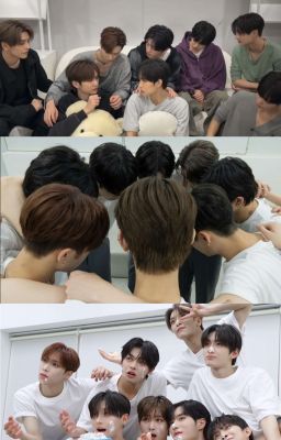 Xuyên Sách, Tôi Hợp Tác Với Hệ Thống Làm Sụp Đổ Cả Vũ Trụ Tiểu Thuyết