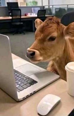 xuzhao; Dating show gone wrong.