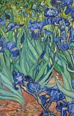 [Yeongyu] Hoa Diên Vĩ 