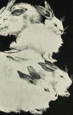 YeonGyu | Tuyển Tập