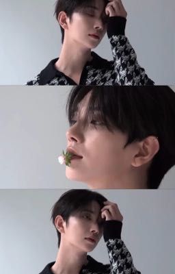 [YoonHong] - Những Bức Thư 
