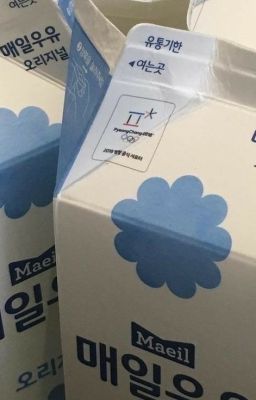 「yoshi x karina」cá mập nhỏ