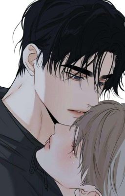 「 ✦ You Like Me? ✦ 」