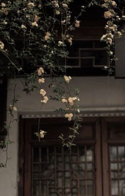 yuwin - nguyệt hạ vô thư.