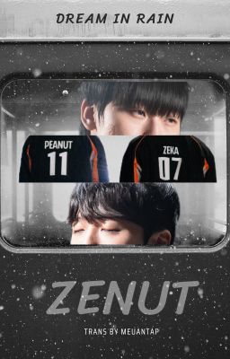 [ZeNut] Dream In Rain