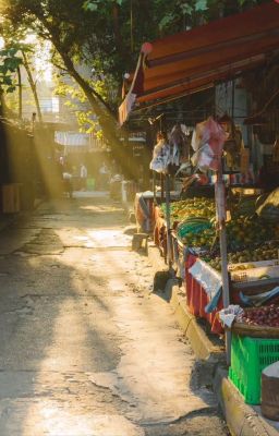 [ZePer] Mùa Thu Hà Nội