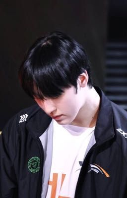 * Zeus x Zeka * Chocolate