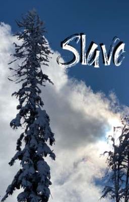 Д - Slave.