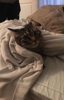 ๐จ๐ช๐๐๐ง ๐๐๐๐๐ฎ |kth|